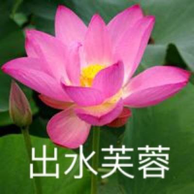 无尽的使命百度版
